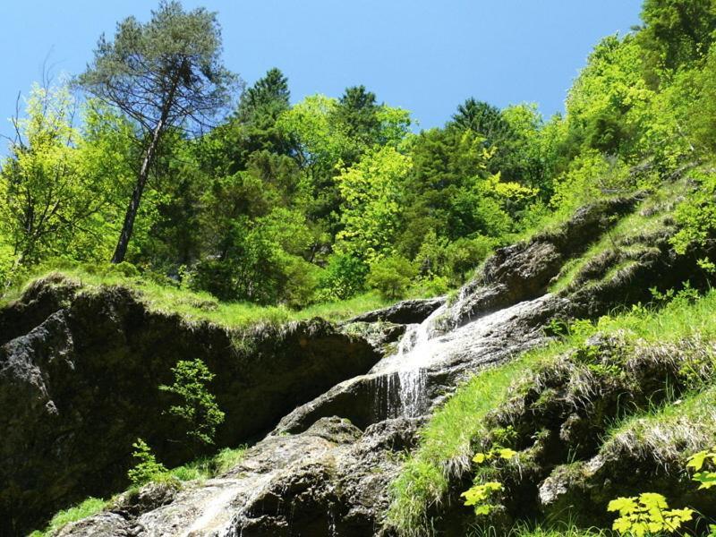 Gasthof Pension Alpenblick Radfeld 외부 사진